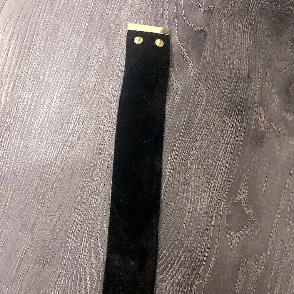 Are you am AMBROSIA VELVET CHOKER